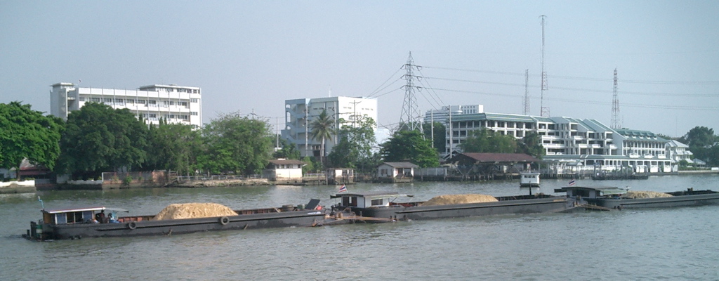 213.jpg